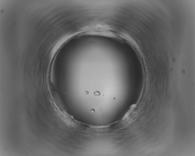 X0000071771344200606301146