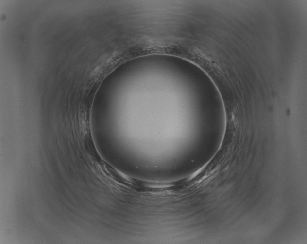 X0000071771348200606301145