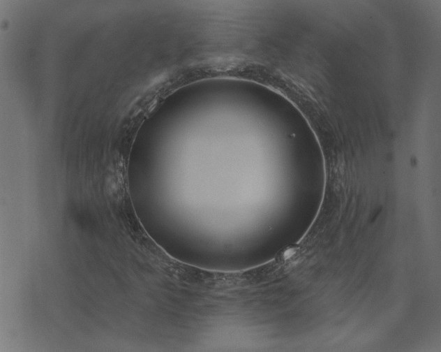X0000071771349200606301145