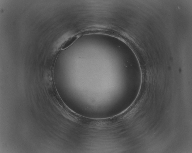 X0000071771355200606301145