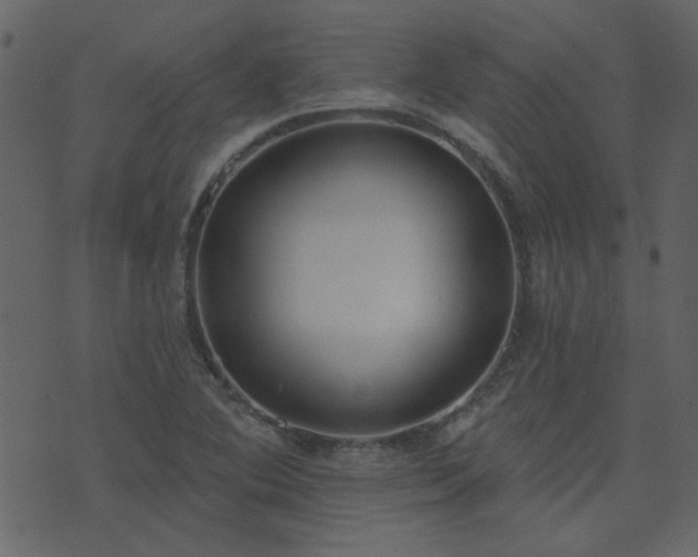X0000071771364200606301145
