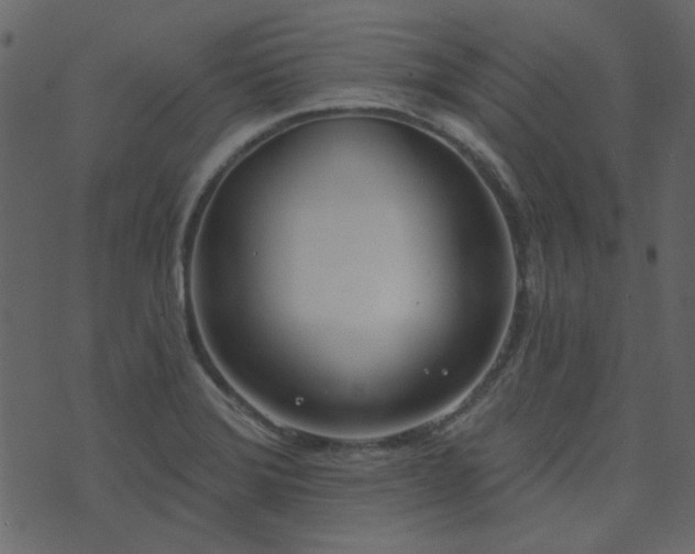 X0000071771372200606301144