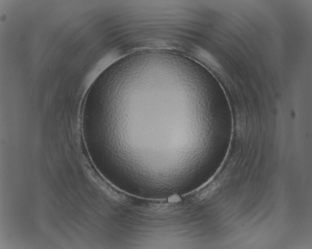 X0000071771378200606301144