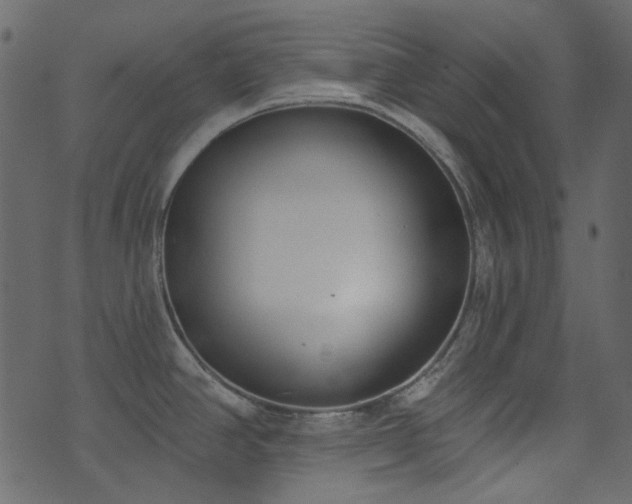 X0000071771390200606301144