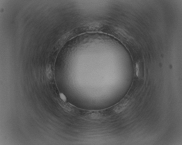 X0000071771395200606301143