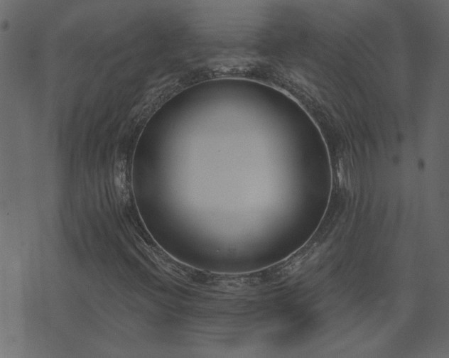 X0000071771396200606301143