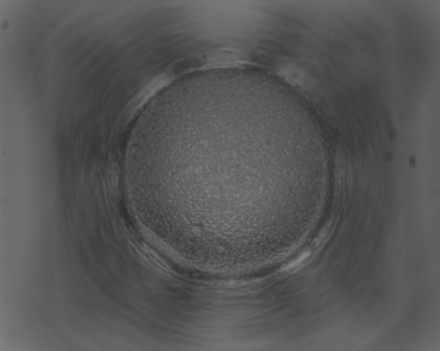 X0000071771401200606301144