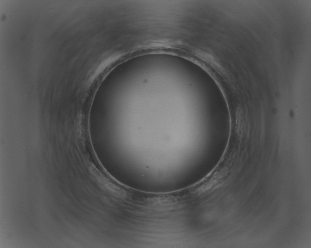 X0000071771404200606301144