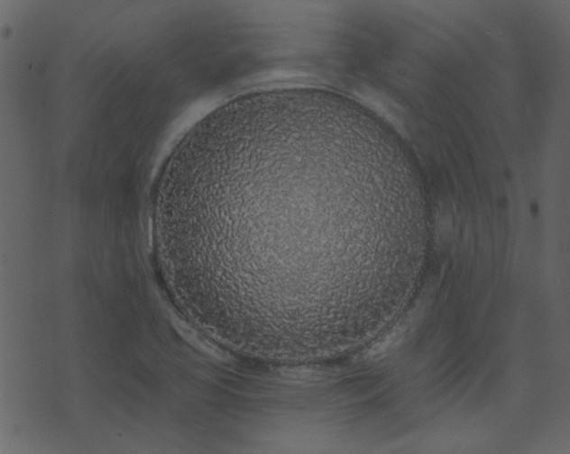 X0000071771413200606301144