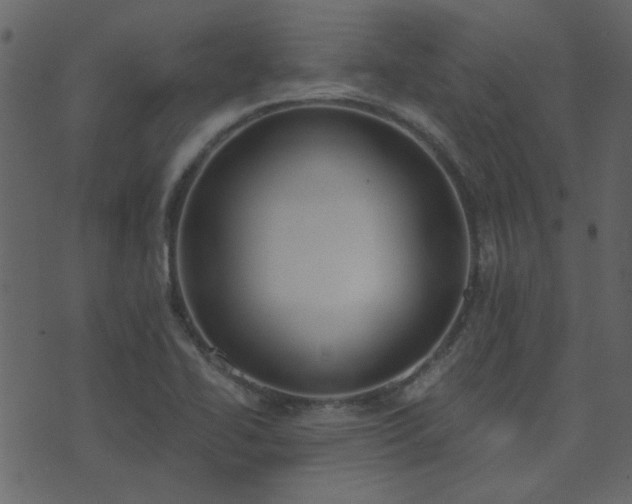 X0000071771414200606301144