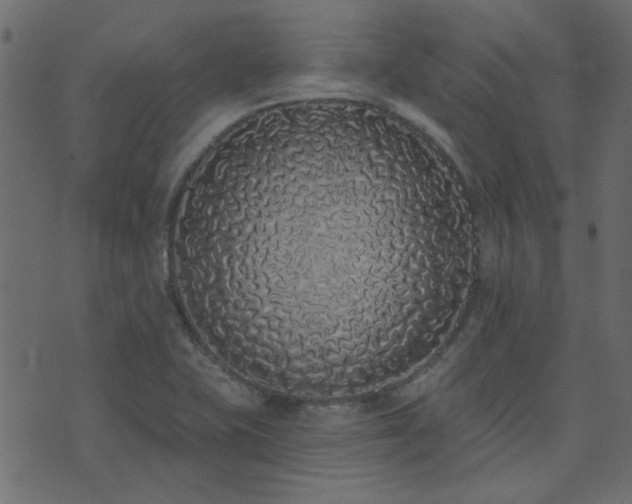 X0000071771415200606301144