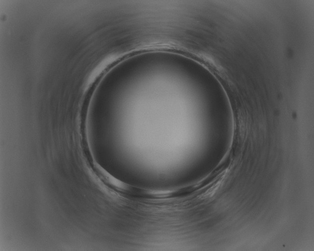 X0000071771422200606301144