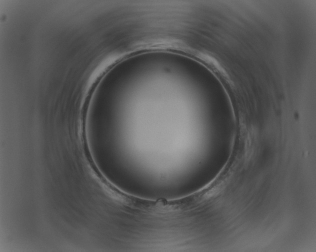X0000071771424200606301144