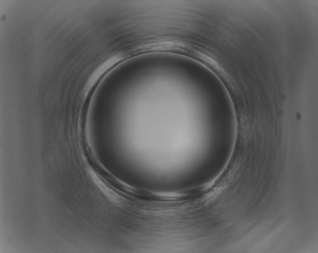 X0000071771426200606301144