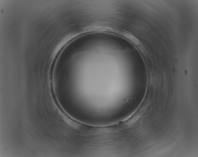 X0000071771430200606301144