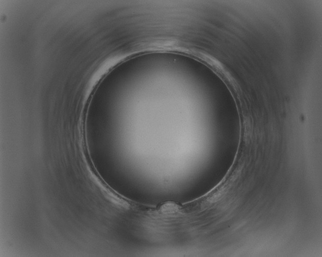 X0000071771432200606301144