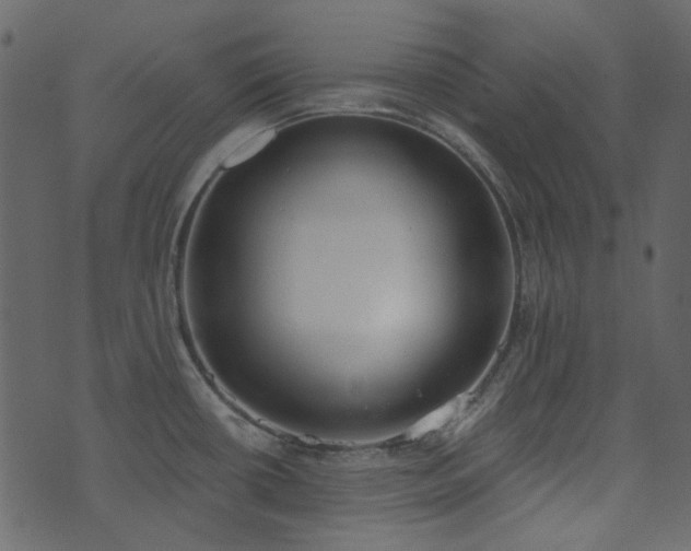 X0000071771434200606301144