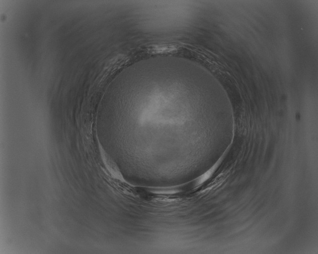 X0000071771441200606301143