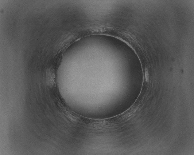 X0000071771444200606301143