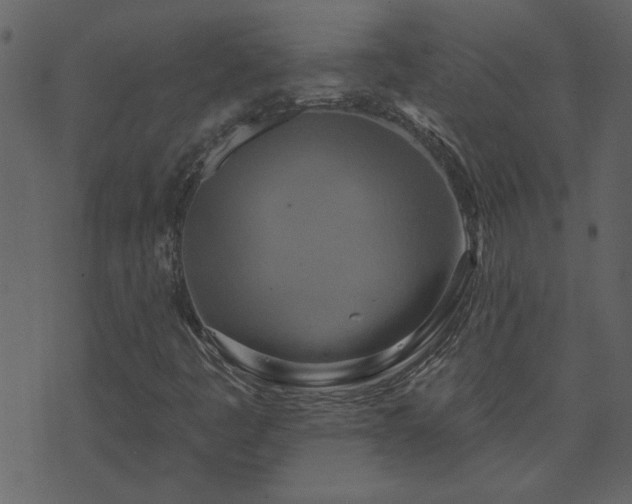 X0000071771445200606301143