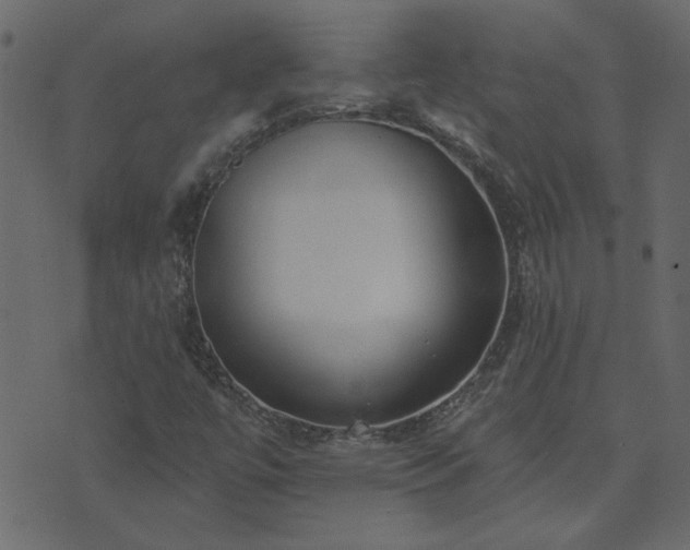 X0000071771447200606301143
