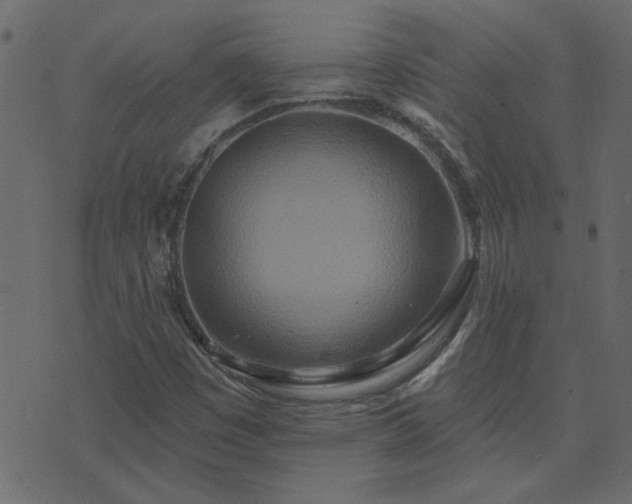 X0000071771449200606301143