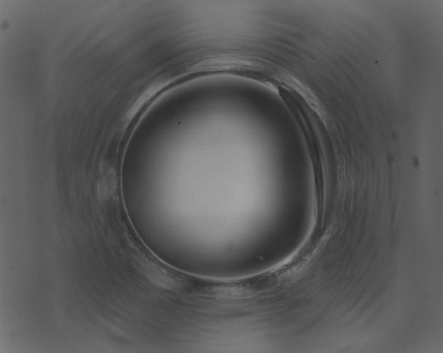 X0000071771465200606301143