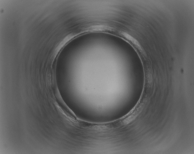 X0000071771473200606301143