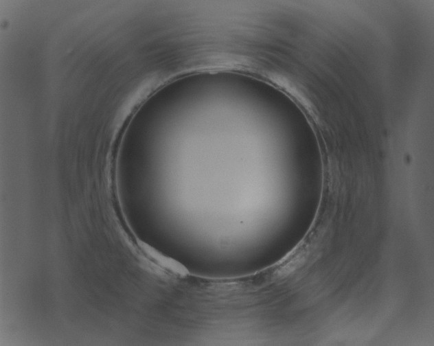 X0000071771477200606301143