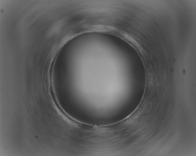 X0000071771479200606301143