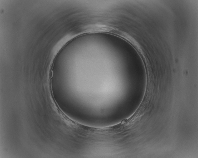 X0000071771488200606301143