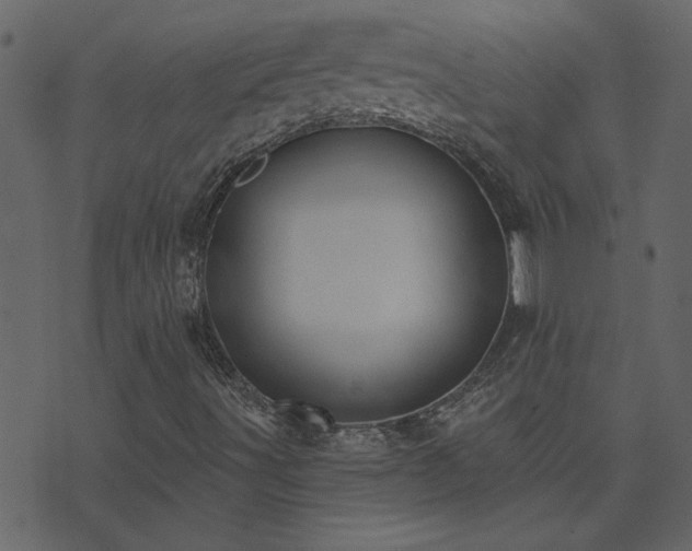 X0000071771491200606301142