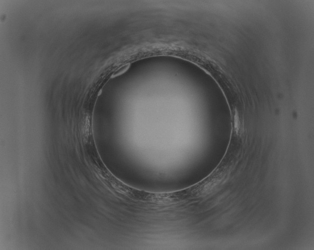 X0000071771492200606301142