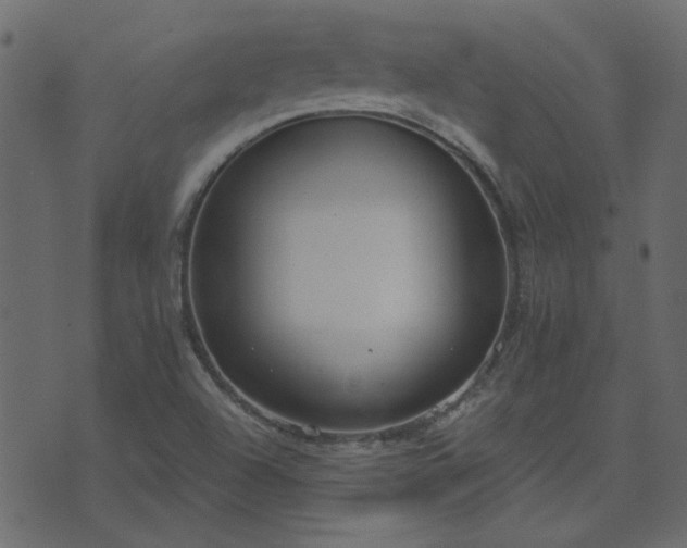 X0000071771504200606301142