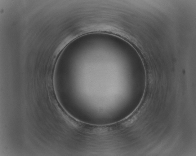 X0000071771521200606301142