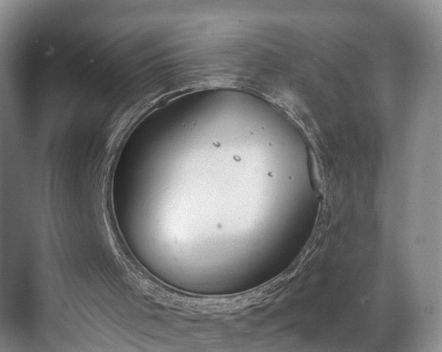 X0000071770001200607071313