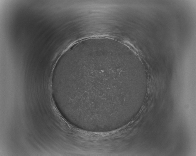 X0000071770002200607071313