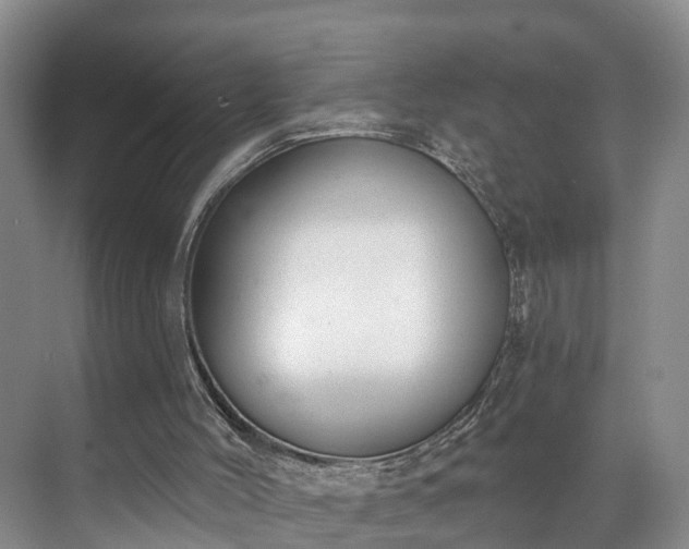 X0000071770004200607071313