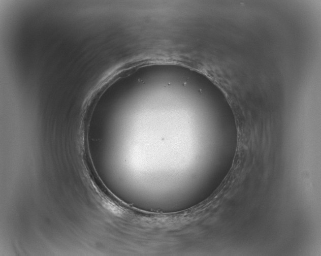 X0000071770005200607071313