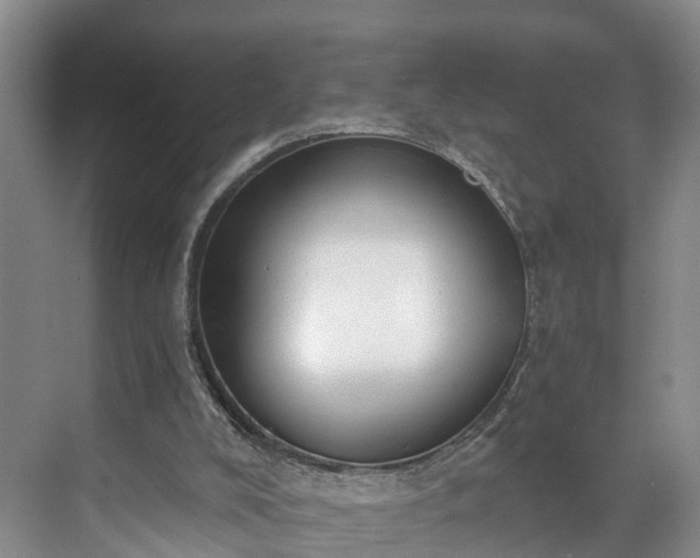 X0000071770008200607071313