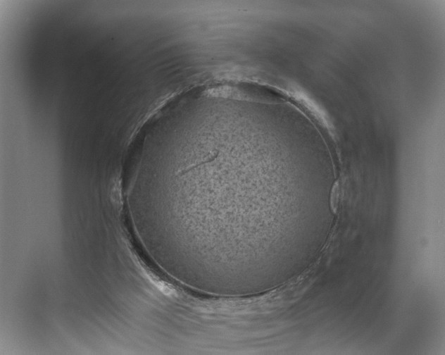 X0000071770009200607071313