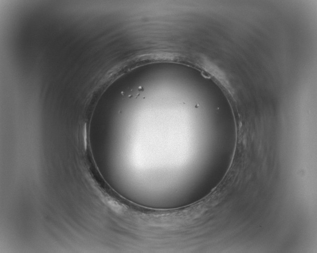 X0000071770013200607071313