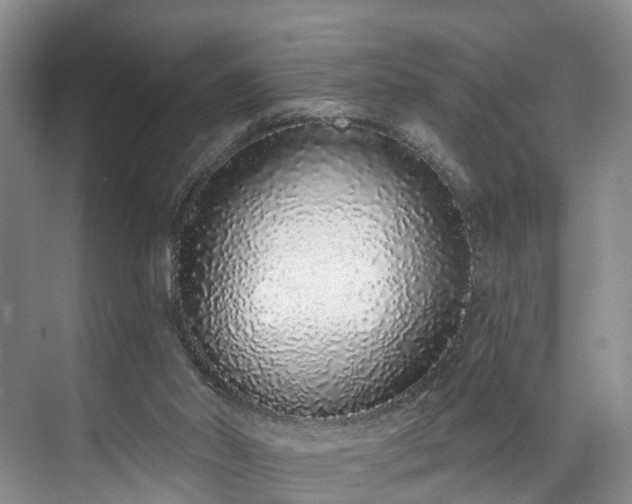 X0000071770014200607071313