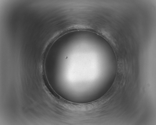 X0000071770015200607071313