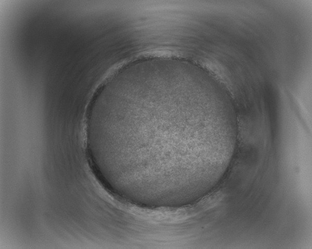 X0000071770016200607071313