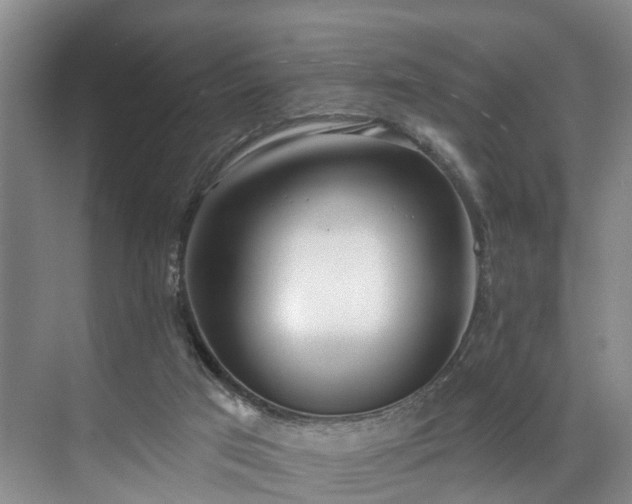 X0000071770017200607071313