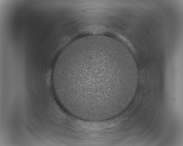 X0000071770018200607071313