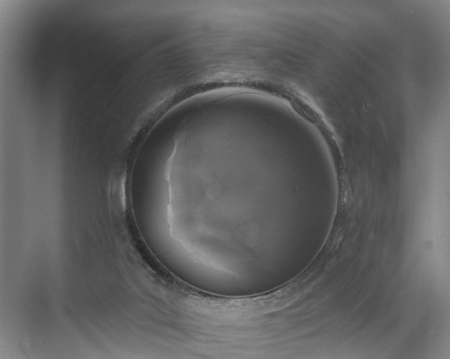 X0000071770019200607071313