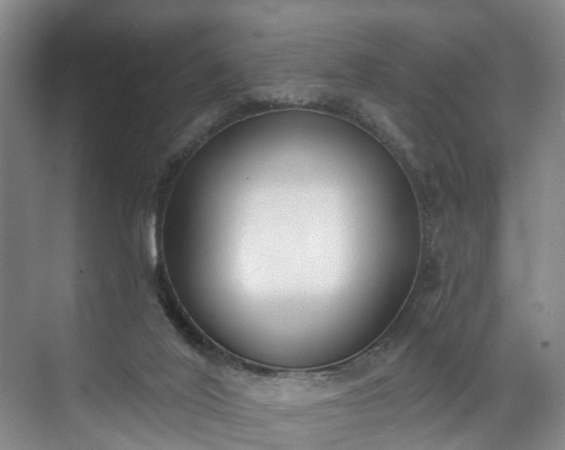 X0000071770020200607071313