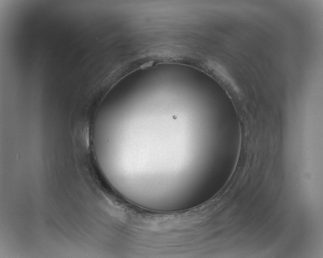 X0000071770021200607071313